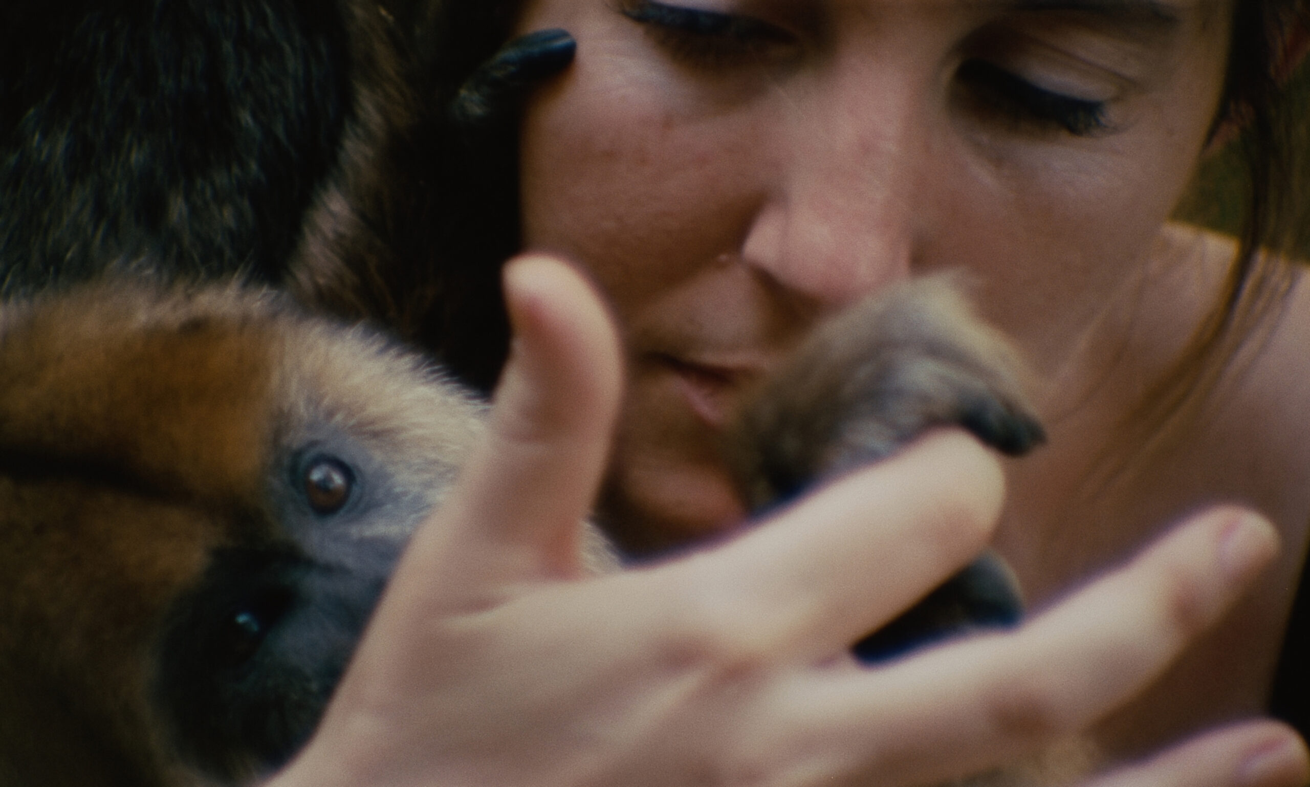 0_Monologo Momentos íntimos y fragmentados se despliegan en una comunidad de zoológicos y centros de rescate de animales en Argentina.