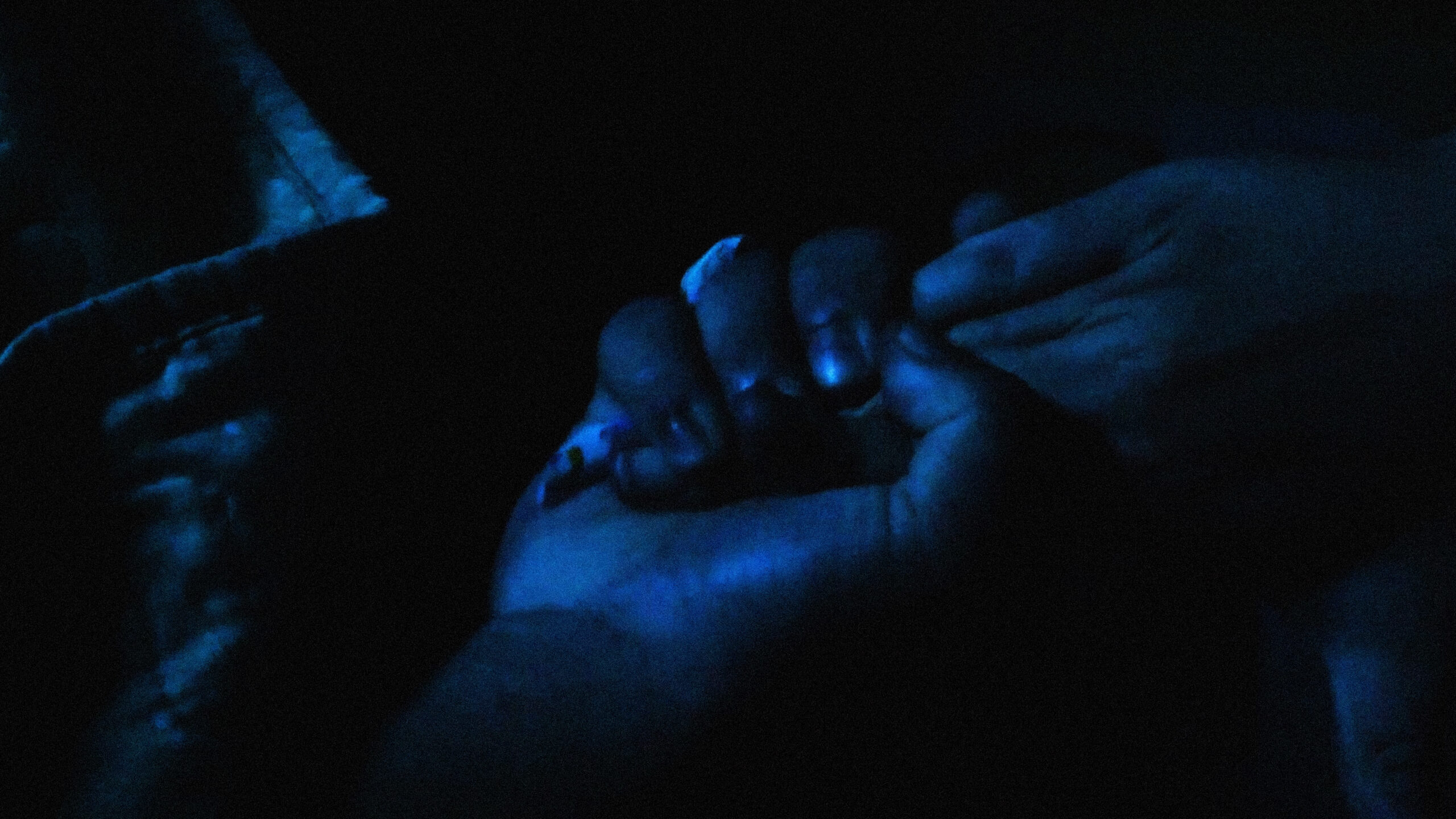 en lo oscuro no se ve Luego de un largo día de trabajo, Clarisa llega a su casa agotada, donde su pequeño hijo la espera durmiendo.